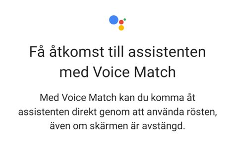 google voice sverige